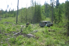 2006-06-12-006_001