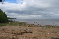 2006-06-12-013