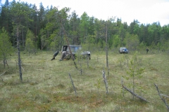 2006-06-12-019_002